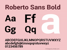 Roberto Sans Bold Version 1.00;June 11, 2020;FontCreator 12.0.0.2522 64-bit; ttfautohint (v1.8.3) Font Sample