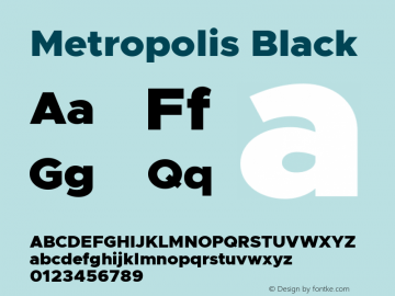 Metropolis Black Version 11.000图片样张