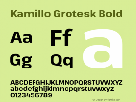 Kamillo Grotesk Bold Version 1.00;July 23, 2020;FontCreator 13.0.0.2655 64-bit Font Sample