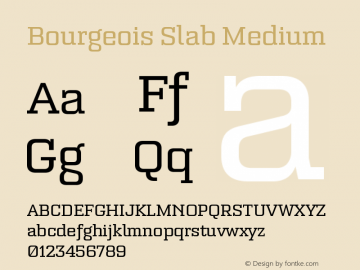 Bourgeois Slab Medium Version 1.000;PS 001.000;hotconv 1.0.88;makeotf.lib2.5.64775图片样张