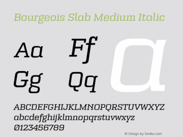 Bourgeois Slab Medium Italic Version 1.000;PS 001.000;hotconv 1.0.88;makeotf.lib2.5.64775 Font Sample