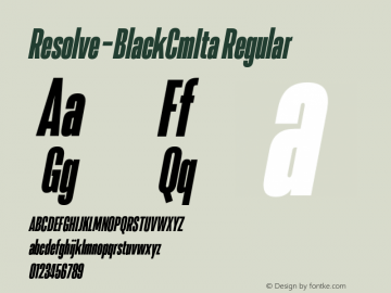 Resolve Sans W05 Black Cm Ita Version 1.00图片样张