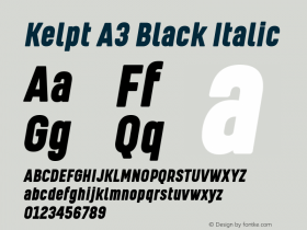 KelptA3-BlackItalic Version 1.000 | wf-rip DC20170425图片样张