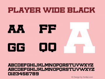 PlayerWide-Black Version 1.0 April 2007 | wf-rip 20070420图片样张
