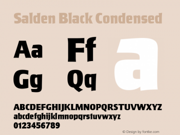 Salden-BlackCondensed Version 1.000 | wf-rip DC20190210图片样张