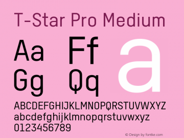 T-Star Pro Medium Version 4.013 | w-rip DC20171030图片样张