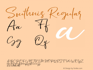 Southnis Version 1.00;August 3, 2020;FontCreator 11.5.0.2426 32-bit Font Sample