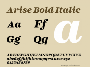 Arise Bold Italic Version 1.000 Font Sample