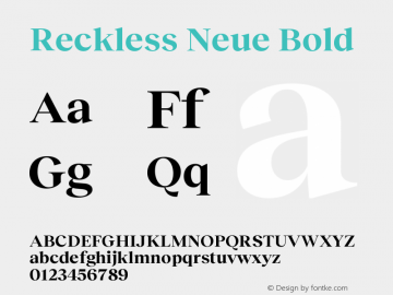 Reckless Neue Bold Version 1.004;hotconv 1.0.109;makeotfexe 2.5.65596图片样张