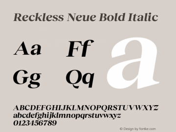 Reckless Neue Bold Italic Version 1.004;hotconv 1.0.109;makeotfexe 2.5.65596 Font Sample