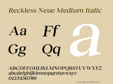 Reckless Neue Medium Italic Version 1.004;hotconv 1.0.109;makeotfexe 2.5.65596 Font Sample