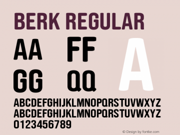 Berk Regular Version 1.000;PS 001.000;hotconv 1.0.88;makeotf.lib2.5.64775图片样张