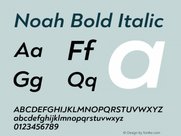 Noah Bold Italic Version 1.000;PS 001.000;hotconv 1.0.88;makeotf.lib2.5.64775图片样张
