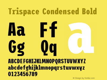 Trispace Condensed Bold Version 1.005;hotconv 1.0.109;makeotfexe 2.5.65596图片样张