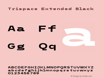Trispace Extended Black Version 1.005;hotconv 1.0.109;makeotfexe 2.5.65596图片样张