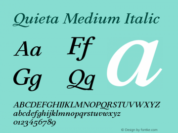Quieta Medium Italic Version 1.000;hotconv 1.0.109;makeotfexe 2.5.65596图片样张