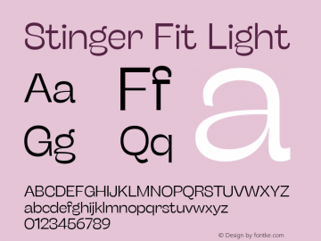 Stinger Fit Light Version 1.006图片样张