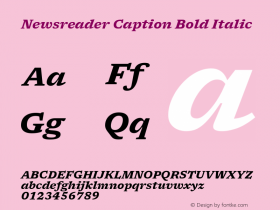 Newsreader Caption Bold Italic Version 1.001 Font Sample