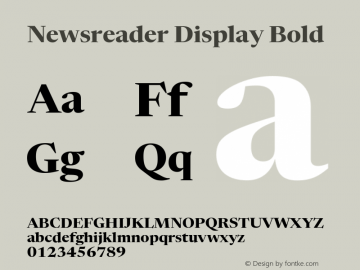 Newsreader Display Bold Version 1.001图片样张