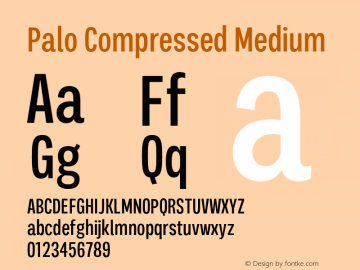 Palo Compressed Medium Version 1.000;hotconv 1.0.109;makeotfexe 2.5.65596图片样张