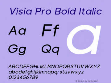 Visia Pro Bold Italic Version 1.000;PS 001.000;hotconv 1.0.88;makeotf.lib2.5.64775 Font Sample