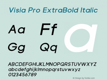 Visia Pro ExtraBold Italic Version 1.000;PS 001.000;hotconv 1.0.88;makeotf.lib2.5.64775 Font Sample