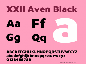 XXII Aven Black Version 1.001图片样张