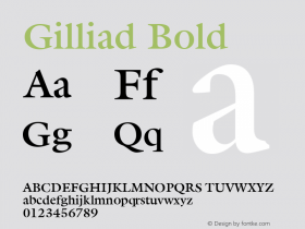 Gilliad Bold From the WSI-Fonts Professional Collection Font Sample