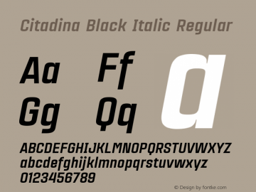 CitadinaBlackItalic Version 001.001图片样张