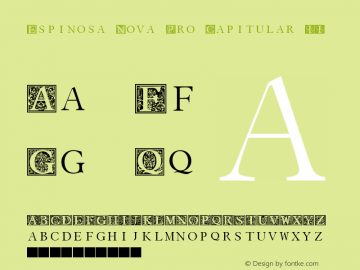 EspinosaNovaPro-CapitularII Version 001.001图片样张
