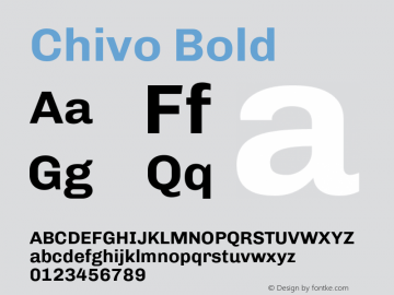 Chivo Bold Version 1.007;PS 001.007;hotconv 1.0.88;makeotf.lib2.5.64775 Font Sample