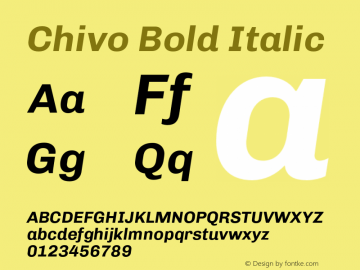 Chivo Bold Italic Version 1.007;PS 001.007;hotconv 1.0.88;makeotf.lib2.5.64775 Font Sample