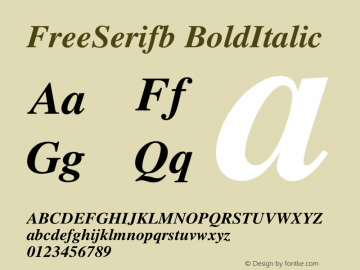 Free Serifb Bold Italic Version $Revision: 1.137 $图片样张