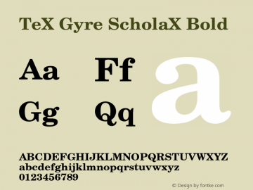 TeXGyreScholaX-Bold Version 2.005;PS 2.005;hotconv 1.0.49;makeotf.lib2.0.14853 Font Sample