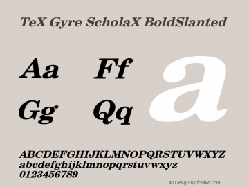 TeXGyreScholaX Bold Slanted Version 2.005;PS 2.005;hotconv 1.0.49;makeotf.lib2.0.14853 Font Sample