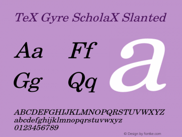 TeXGyreScholaX Slanted Version 2.005;PS 2.005;hotconv 1.0.49;makeotf.lib2.0.14853图片样张