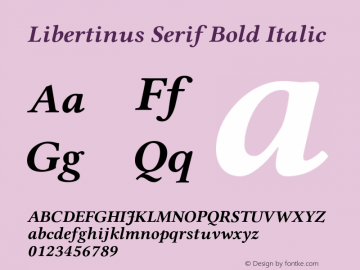 Libertinus Serif Bold Italic Version 7.020;RELEASE图片样张