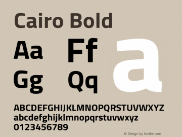 Cairo Bold Version 2.010; ttfautohint (v1.5.33-1714) -l 8 -r 50 -G 200 -x 0 -D latn -f arab -w G -W -c -X 