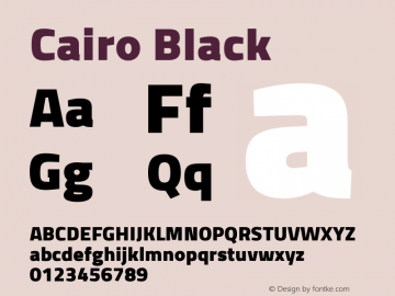 Cairo Black Version 2.010; ttfautohint (v1.5.33-1714) -l 8 -r 50 -G 200 -x 0 -D latn -f arab -w G -W -c -X 
