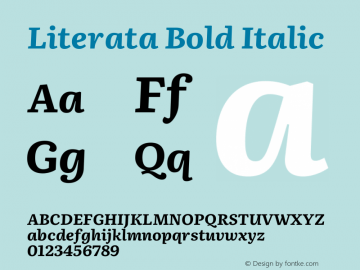 Literata Bold Italic Version 3.002 Font Sample