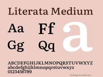 Literata Medium Version 3.002 Font Sample