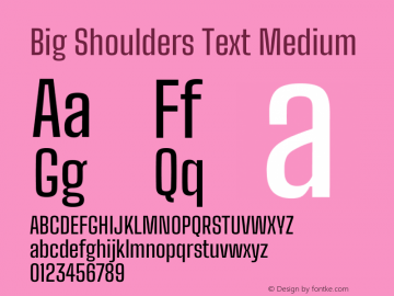 Big Shoulders Text Medium Version 1.100 Font Sample