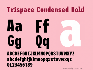 Trispace Condensed Bold Version 1.210图片样张