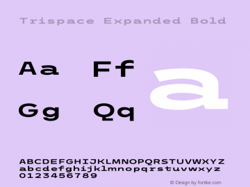 Trispace Expanded Bold Version 1.210 Font Sample
