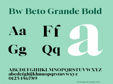 Bw Beto Grande Bold Version 1.000;PS 001.000;hotconv 1.0.88;makeotf.lib2.5.64775图片样张