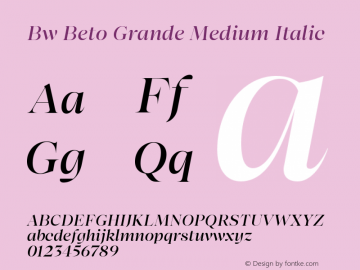 Bw Beto Grande Medium Italic Version 1.000;PS 001.000;hotconv 1.0.88;makeotf.lib2.5.64775图片样张