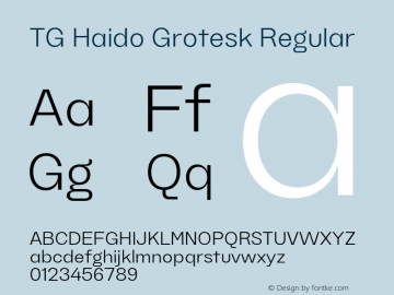 TGHaidoGrotesk-Regular Version 1.000;hotconv 1.0.109;makeotfexe 2.5.65596 Font Sample