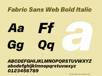 Fabric Sans Web Bold Italic Version 1.000 Font Sample