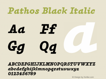 Pathos-BlackItalic Version 1.000;PS 001.000;hotconv 1.0.88;makeotf.lib2.5.64775图片样张