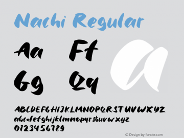 Nachi Version 1.000 Font Sample